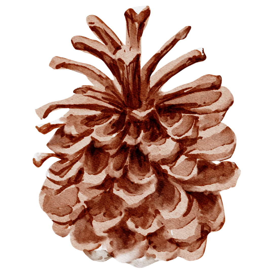 Emily Bootle   |   Funeral Pre-Planning